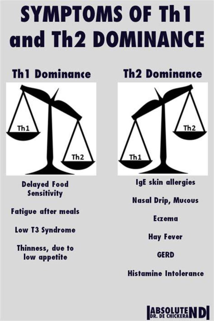 What is th1 dominance