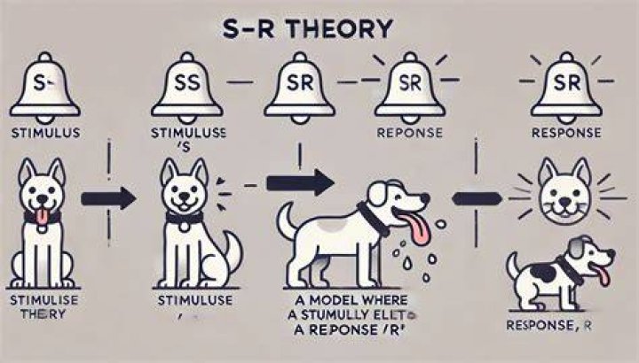 What is the SR theory