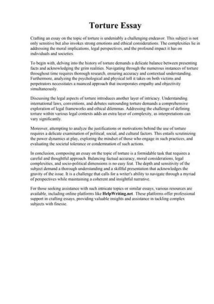 What is torture essay