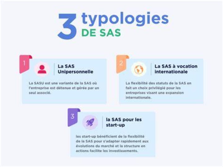 What is _type_ in SAS