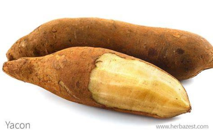 What is yacon English