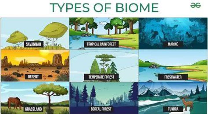 What makes up a biome