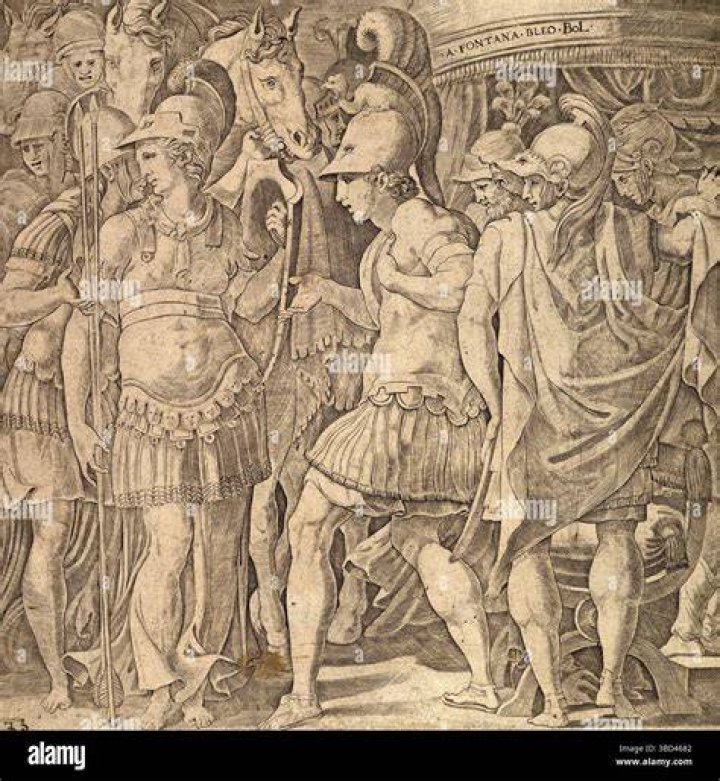 What race are Amazons