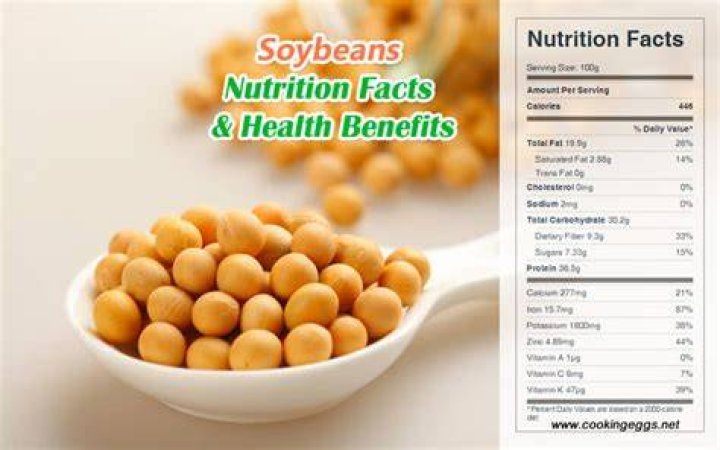 What soybean contains