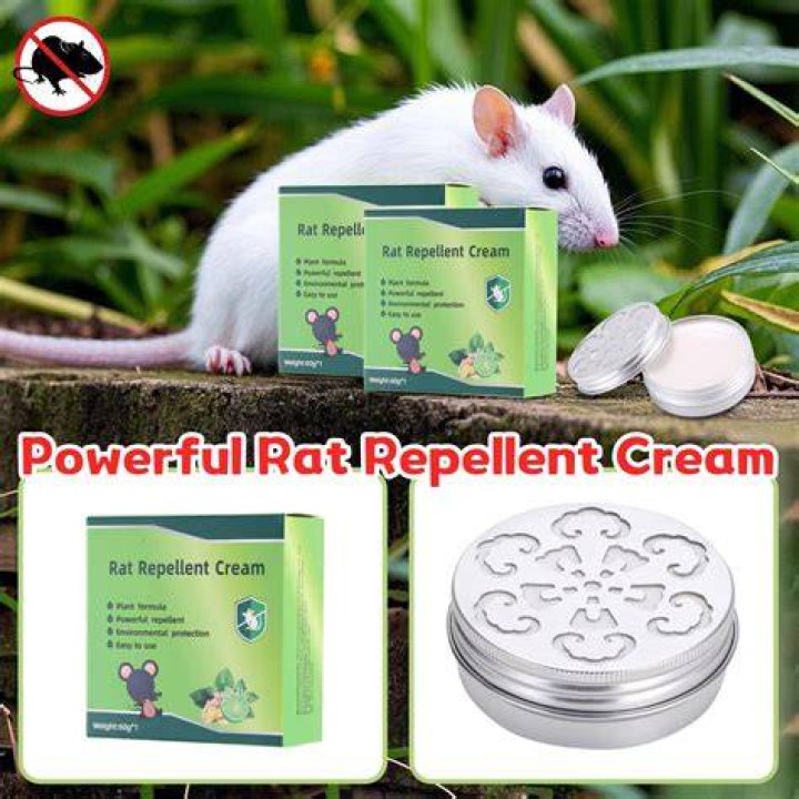 What will repel mice