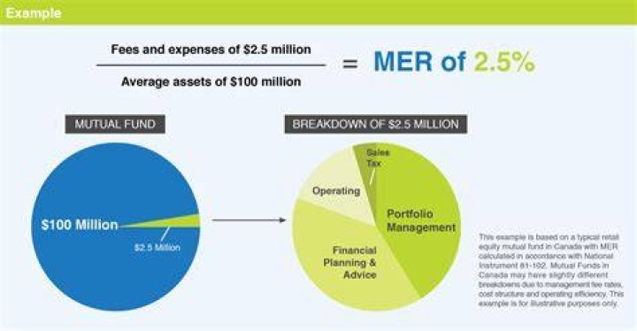 Whats a Mer in a fund