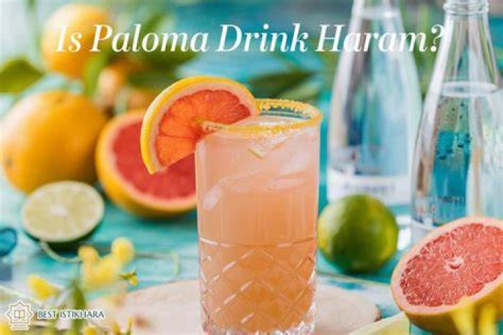 Whats a Paloma mean