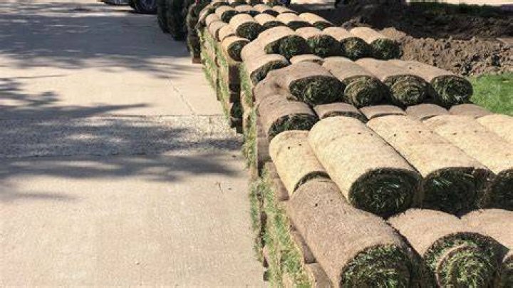 When should I use sod