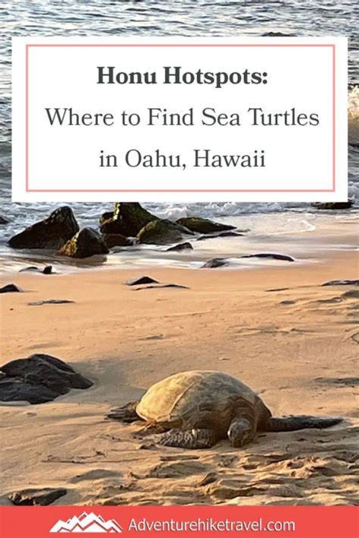 Where is HONU on Oahu