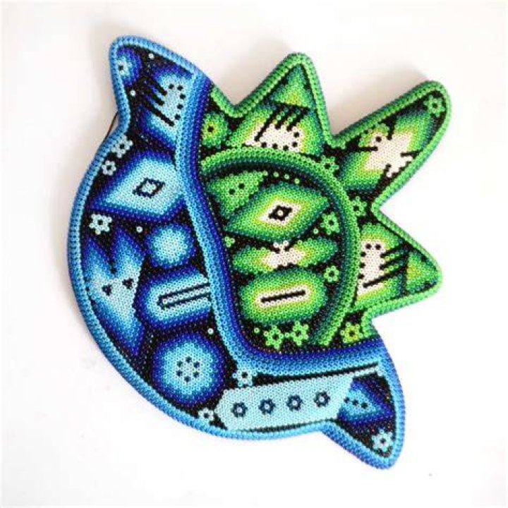 Where is Huichol from