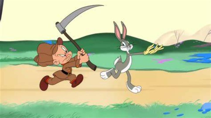Who chased Bugs Bunny