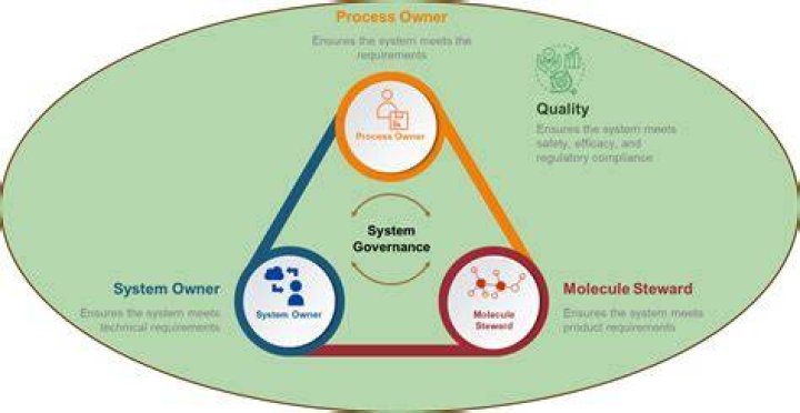 Who is a system owner
