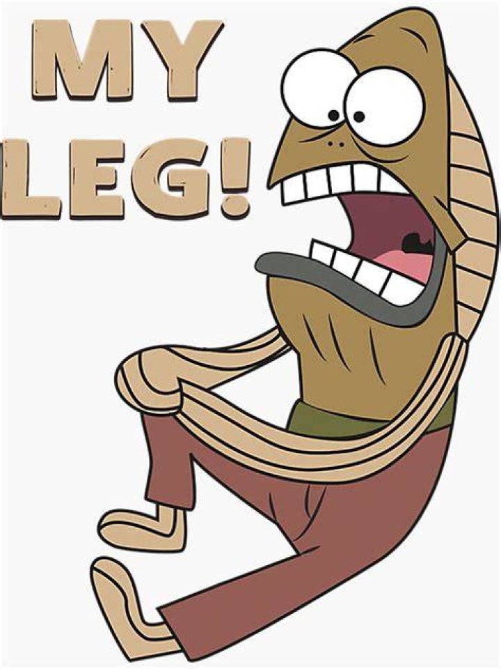 Who is the my leg guy