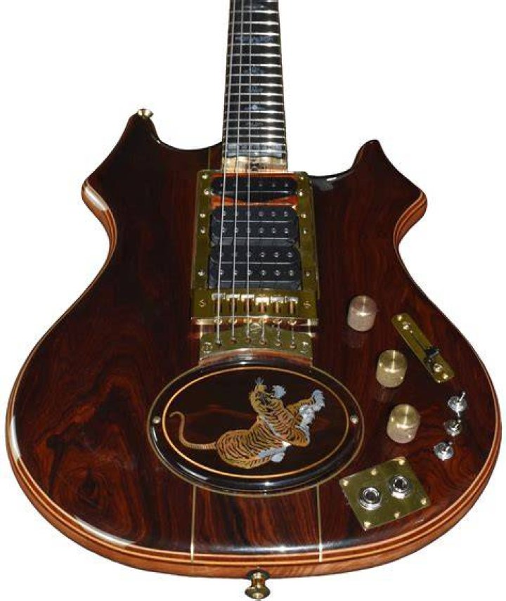Who owns Tiger guitar