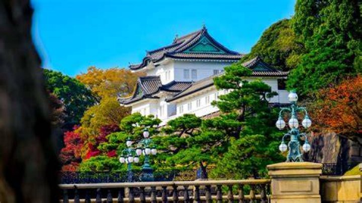 Who owns Tokyo Tokyo