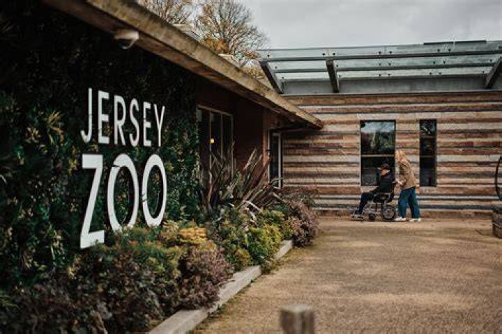 Who set up Jersey Zoo