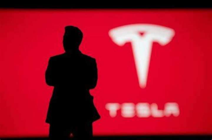 Who took Tesla public