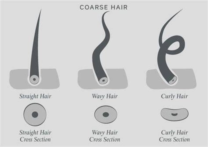 Why does coarse mean