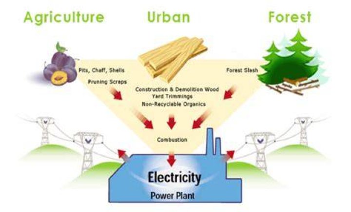 Why is biomass cheap