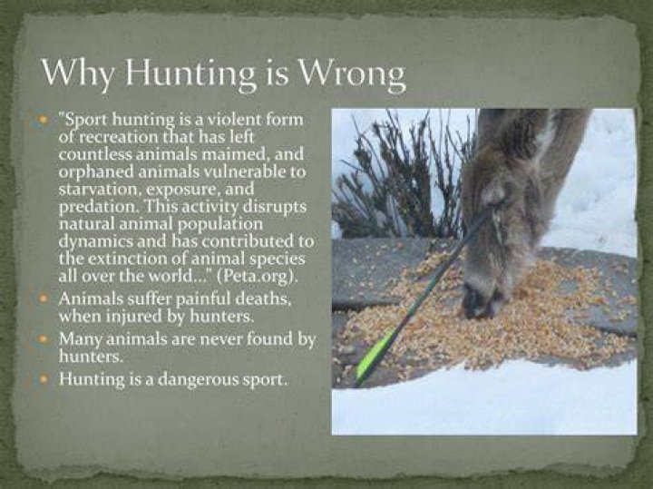 Why is hunting wrong