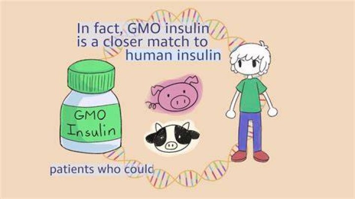 Why is insulin a GMO
