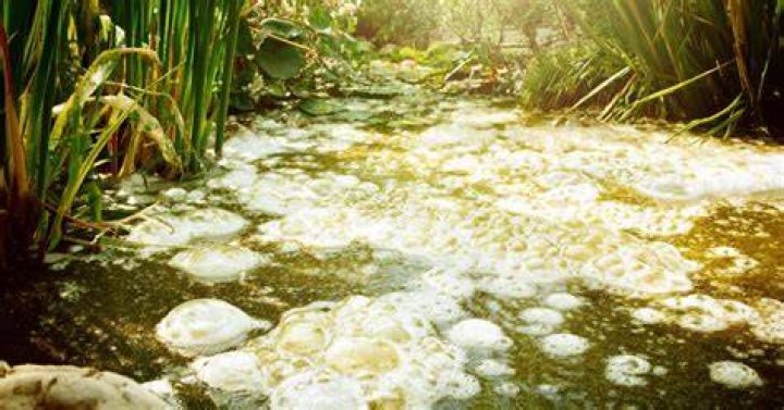 Why is my pond acidic