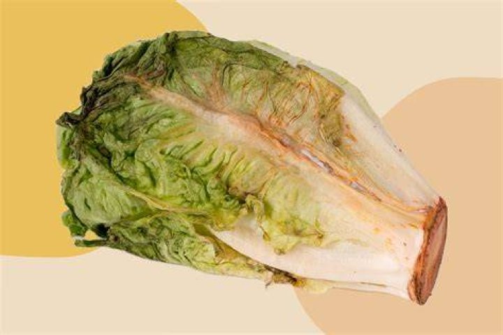 Why is my romaine red