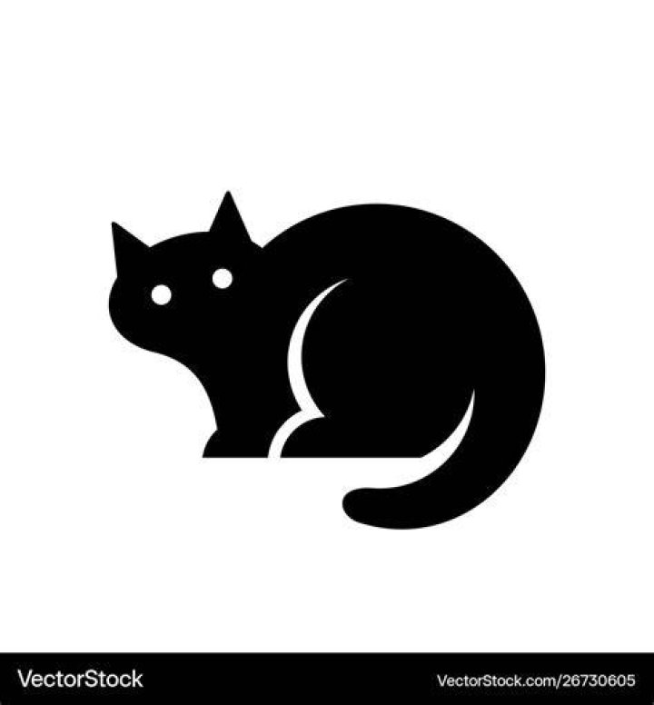 Why is the logo a Cat