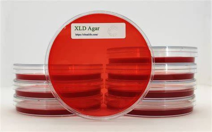 Why is XLD agar used